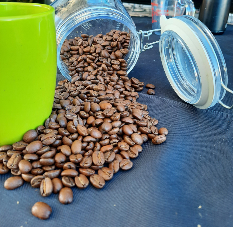 Bean Delight